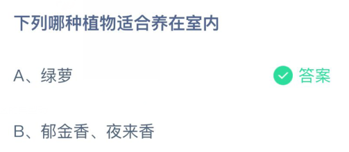 室内养护植物推荐：选择最适合的绿植
