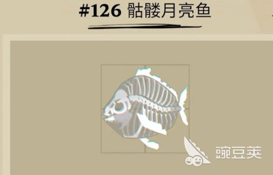 揭秘：渔帆暗涌中的稀有鱼类盘点