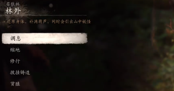 《黑神话悟空》黑风山苍狼林打坐点具体位置揭秘